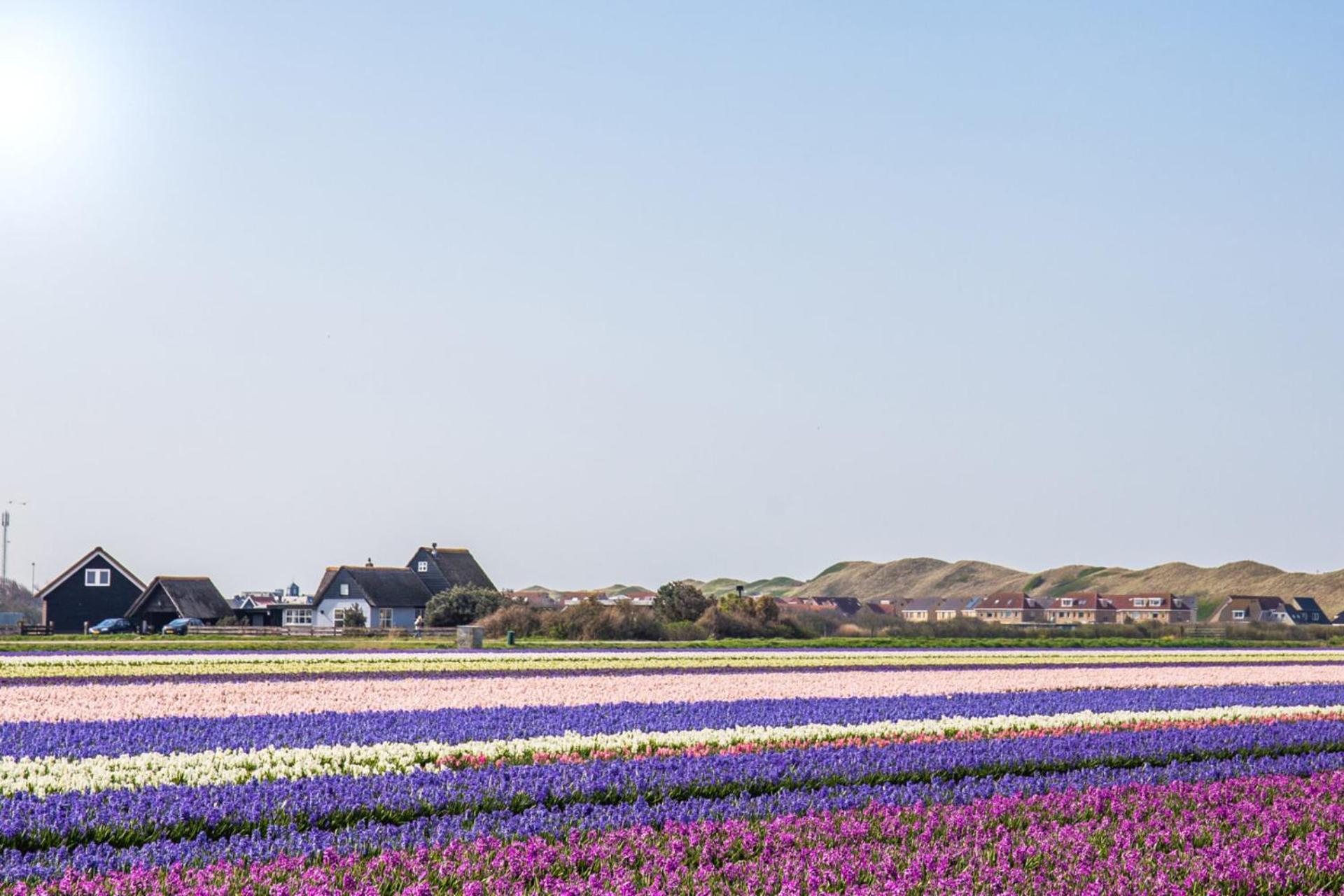 Vakantiehuis Zilt - Julianadorp Aan Zee Экстерьер фото
